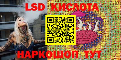 СК Донецк