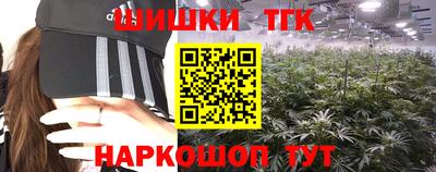СК Донецк